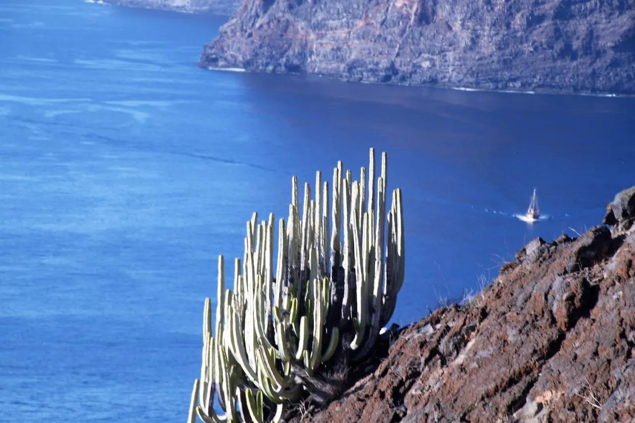 Tenerife Beach Apartment Adeje Costa Adeje  Costa Adeje (Tenerife)